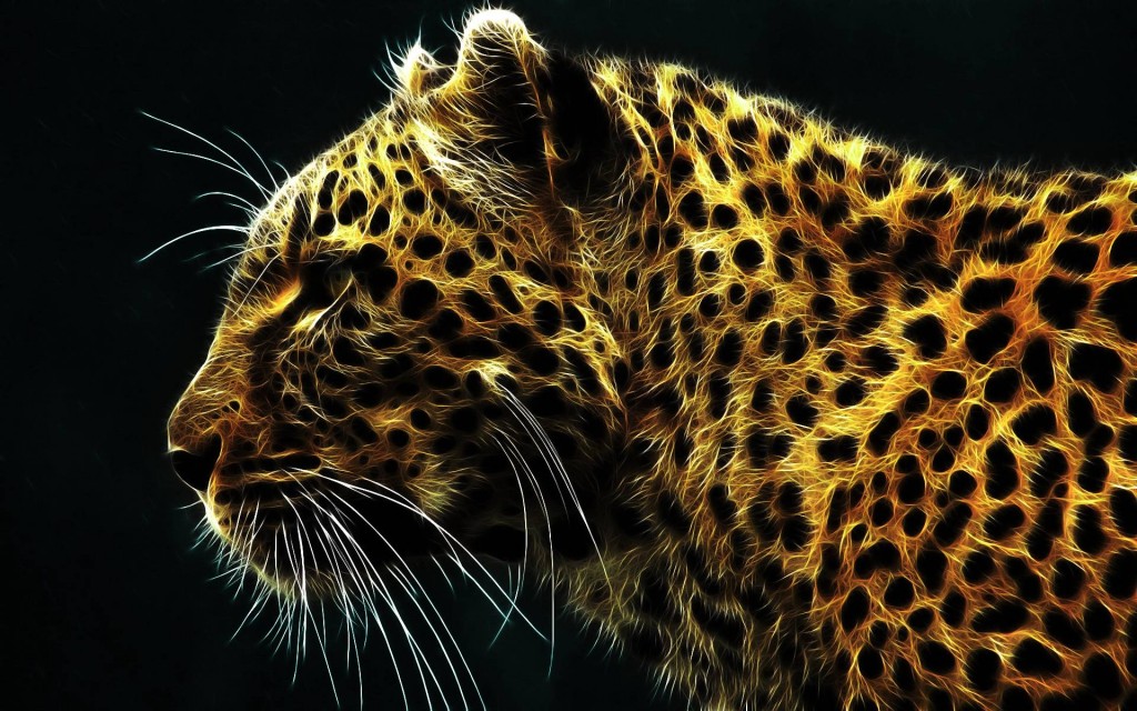 light-bright-leopard-animal-backgrounds_00149646