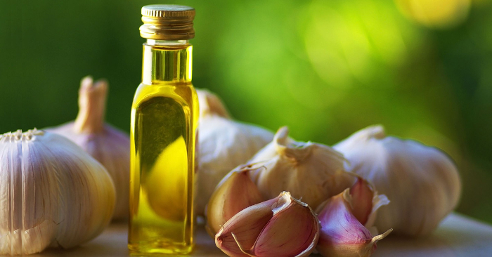How-Garlic-Oil-Reduces-Inflammation-In-Varicose-Veins