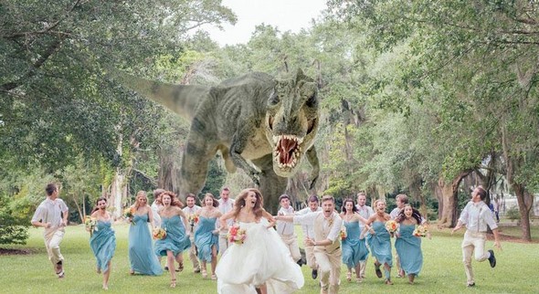 crazy-wedding-party-attack-pictures-01