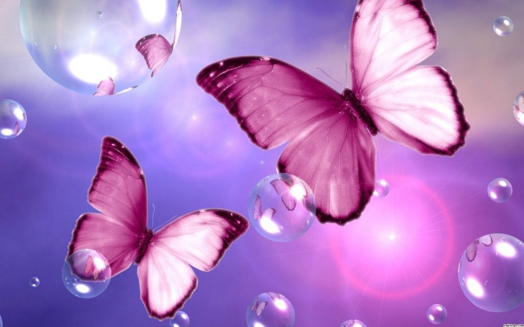 Beautiful+Pink+Butterfly+Wallpaper+4