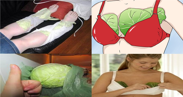 put-cabbage-leaves-onto-your-chest-and-legs-before-you-go-to-sleep-if-you-experience-frequent-headaches-the-next-morning-you-will-feel-healthier-than-ever