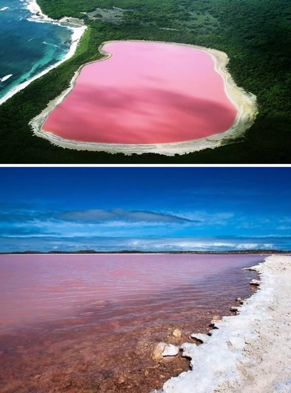 a98876_real-place_7-pink-lake