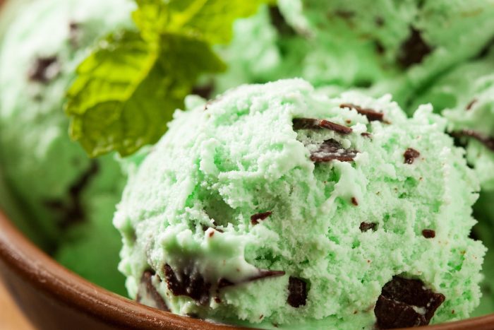 05-traits-ice-cream-mint-chocolate-chip