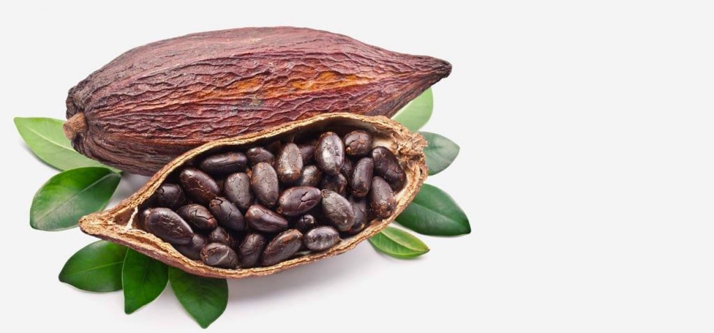 17-Amazing-Benefits-Of-Cacao-For-Skin-Hair-And-Health