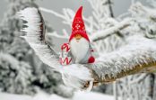 Rokām darinātas dāvanas Ziemassvētkiem un 2019. gada Jaunajam gadam Rokām darinātas dāvanas Ziemassvētkiem un 2019. gada Jaunajam gadam