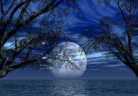 Mēness fāžu skaistuma Horo***ps nedēļai (23.02-01.03)