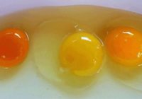 Ar ko atšķiras olas pēc dzeltenuma krāsas? Tā var daudz liecināt