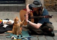 Kaķis, kurš izglāba ielu mūziķi un narkomānu