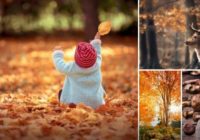 Dažādas fotogrāfijas, kurās rudens izskatās neaprakstāmi skaisti