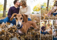 Taksis savu saimnieku foto sesiju padarīja neaizmirstamu