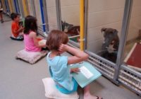 Kādēļ šie bērni lasa grāmatas patversmes suņiem? Ļoti aizkustinoši!
