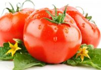 Vērtīgākās tomātu īpašības, par kurām tu līdz šim neko nenojauti; #6– neticami!