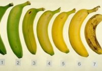 Ēst vai neēst – kādu noslēpumu glabā pārgatavinātie un plankumainie banāni