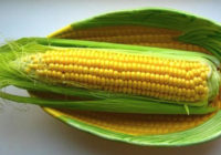 Kukurūzas drīksnas tievēšanai – kā lietot un kāds no tām labums