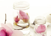 Auna zīmes ziedu Horo***ps: uzpirkstīte, magnolija vai hortenzija