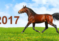 2017. gada Horo***ps visu Zodiaka zīmju pārstāvjiem, kuri dzimuši Zirga gadā