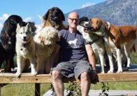 Vīrietis adoptē 45 suņus un nofilmē mirkli, kad viņi tiek palaisti brīvībā savās jaunajās mājās (+ VIDEO)