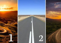Tests: Kuru ceļu jūs izvēlaties?