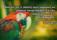 Horoskops 14. jūnijam – sāciet kustēties jaunā virzienā!