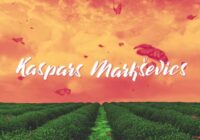 Noskaties video: Kaspars Markševics sadarbībā ar Ingaru Viļumu izdod šīs vasaras krāsaināko hitu