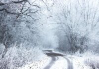 Ziema nedēļas nogalē atnesīs spēcīgu snigšanu, tāpēc esiet gatavi bīstamiem braukšanas apstākļiem.