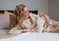 6 iemesli kāpēc kaķi guļ uz cilvēkiem