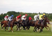 A Guide to the Different Types of Horse Races Around the World