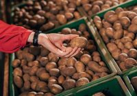 Sena metode kartupeļu uzglabāšanai, lai izvairītos no produkta bojāšanās