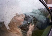 Ko darīt, lai automašīnas vējstikls neaizsvīstu: pieredzējušu autovadītāju ieteikumi