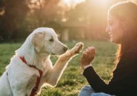 Kaķu tantes un suņu vīri: 3 zodiaka zīmes, kuras dievina mājdzīvniekus