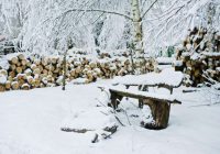 Ko darīt dārzā ziemā: 6 obligāti veicamie darbi janvārī