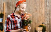 Piesaistīsiet problēmas un grūtības: 5 augi, kurus nedrīkst turēt savā mājoklī neprecētas dāmas