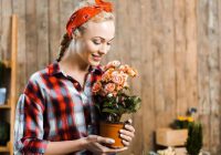 Piesaistīsiet problēmas un grūtības: 5 augi, kurus nedrīkst turēt savā mājoklī neprecētas dāmas