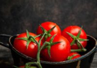 Tikai viena karote un tomāti nekavējoties kļūst sarkani: svarīga barošana jūlijā