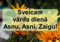 Šodien vārda dienu svin Asna, Asne, Zaiga: vārdu nozīme!