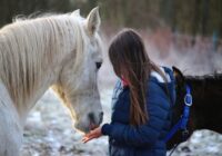 Zvaigžņu prognoze 5. februārim: Lauvai – ceļojumi, Jaunavai – daudz priecīgu mirkļu