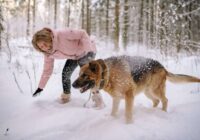 Piecu zvaigžņu zīmju pārstāvju dzīve pirms ziemas beigām sagriezīsies par 180 grādiem